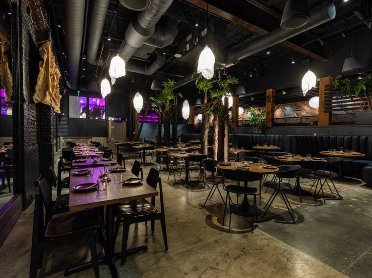 Genießen Sie das Außergewöhnliche: Erleben Sie das beste Restaurant