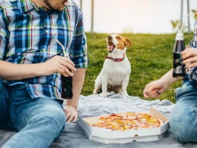 Qualität ganz nah – Pizzeria in der Nähe