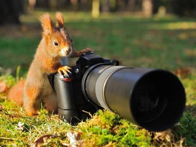 Kreativ durchstarten im Fotokurs Hamburg