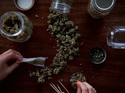 Die besten Grow-Ergebnisse erzielen – Cannabis Samen bestellen vom Profi