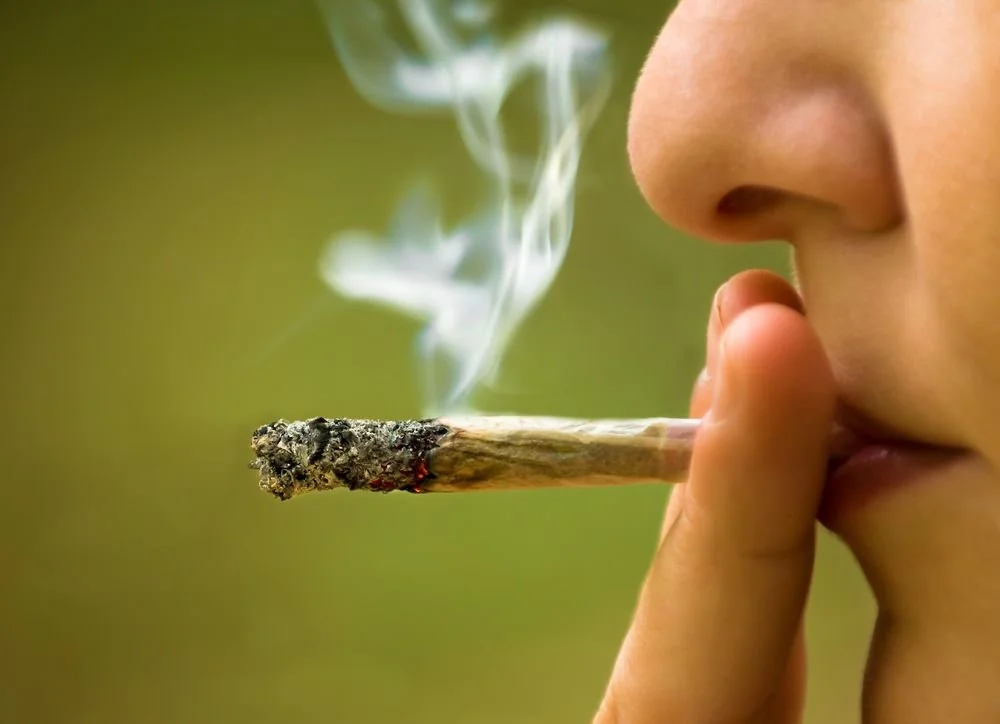 Die besten Grow-Ergebnisse erzielen – Cannabis Samen bestellen vom Profi
