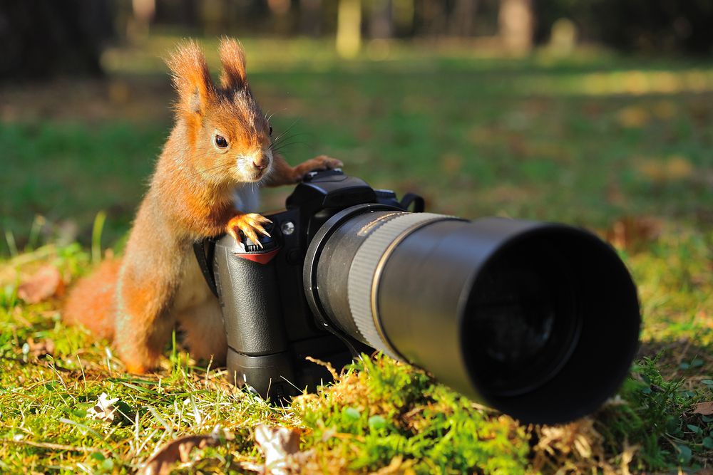 Kreativ durchstarten im Fotokurs Hamburg