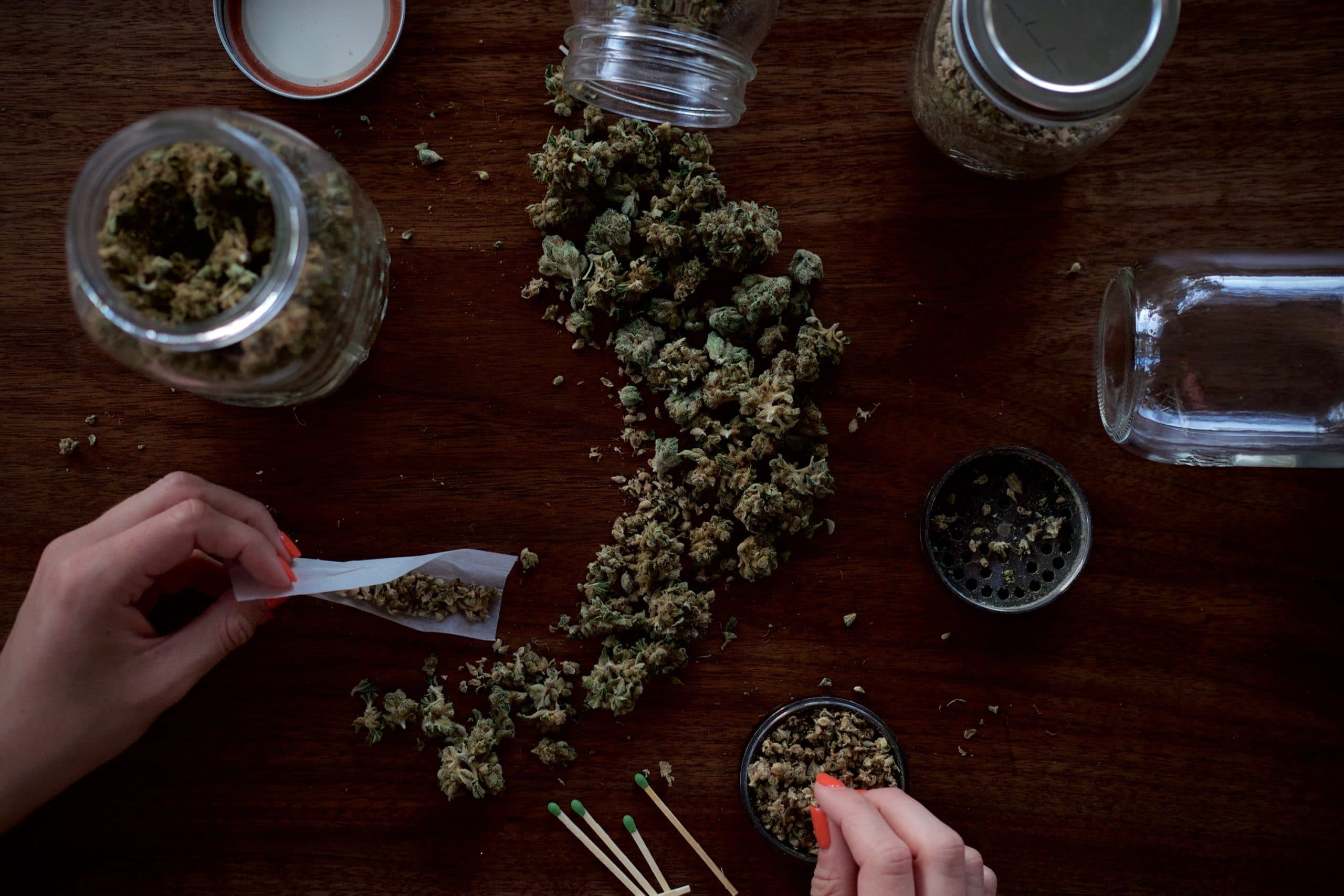 Die besten Grow-Ergebnisse erzielen – Cannabis Samen bestellen vom Profi